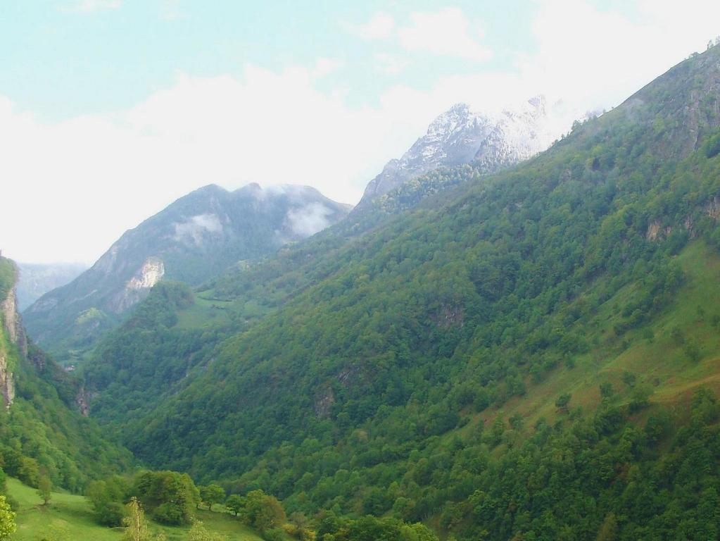 Chateau D'Arance Ξενοδοχείο Cette-Eygun Εξωτερικό φωτογραφία